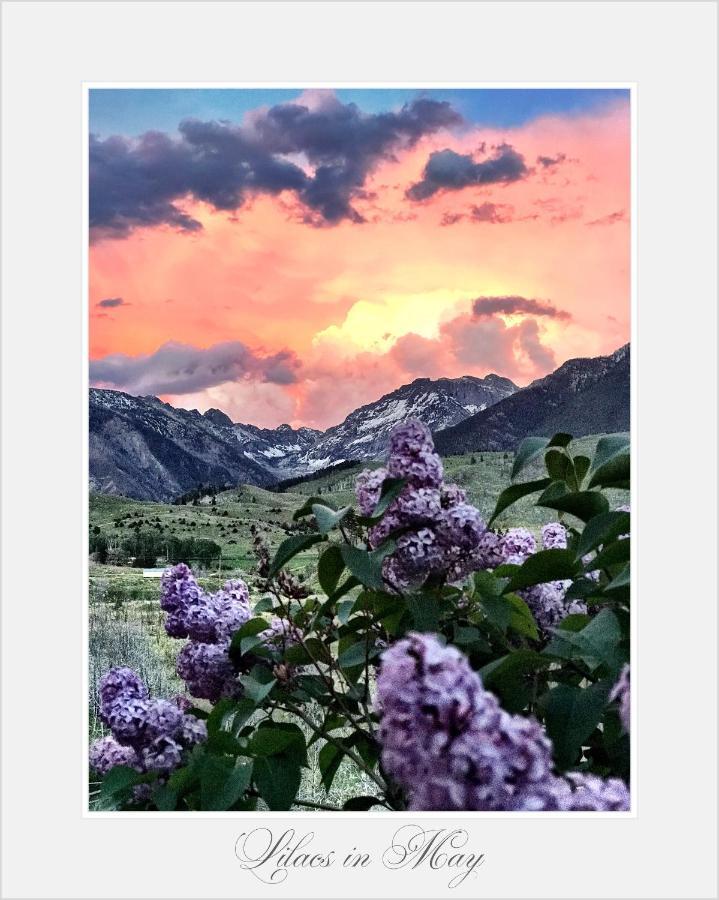 Pine Creek Cabin Livingston Montana Exterior foto